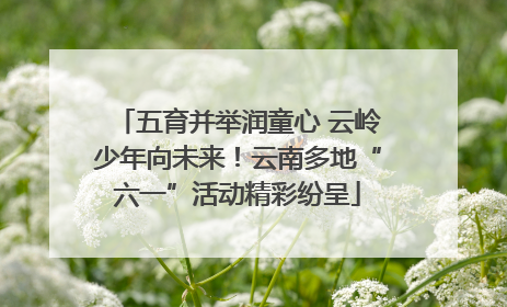 五育并举润童心 云岭少年向未来！云南多地“六一”活动精彩纷呈