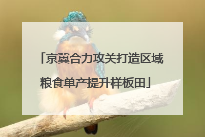 京冀合力攻关打造区域粮食单产提升样板田