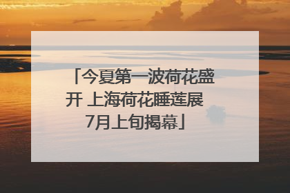 今夏第一波荷花盛开 上海荷花睡莲展7月上旬揭幕