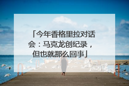 今年香格里拉对话会：马克龙创纪录，但也就那么回事