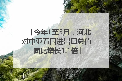 今年1至5月，河北对中亚五国进出口总值同比增长1.1倍