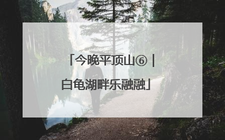 今晚平顶山⑥｜白龟湖畔乐融融