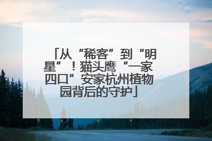 从“稀客”到“明星”！猫头鹰“一家四口”安家杭州植物园背后的守护