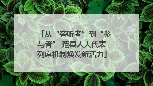 从“旁听者”到“参与者” 范县人大代表列席机制焕发新活力