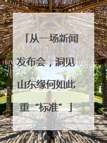 从一场新闻发布会，洞见山东缘何如此重“标准”