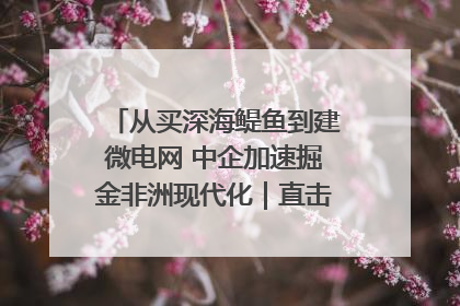 从买深海鳀鱼到建微电网 中企加速掘金非洲现代化｜直击中非经贸博览会