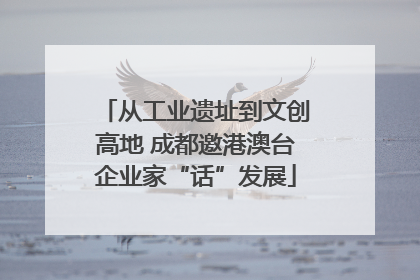 从工业遗址到文创高地 成都邀港澳台企业家“话”发展