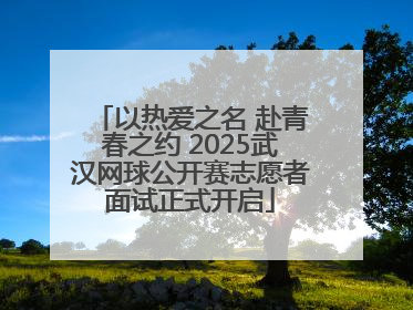 以热爱之名 赴青春之约 2025武汉网球公开赛志愿者面试正式开启