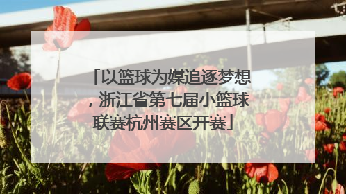 以篮球为媒追逐梦想，浙江省第七届小篮球联赛杭州赛区开赛