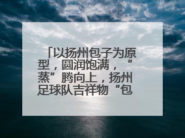 以扬州包子为原型，圆润饱满，“蒸”腾向上，扬州足球队吉祥物“包赢”亮相即售罄