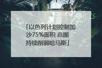 以色列计划控制加沙75%面积 意图持续削弱哈马斯