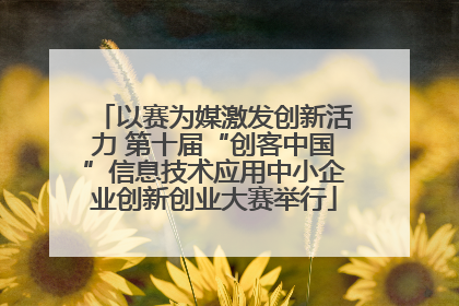 以赛为媒激发创新活力 第十届“创客中国”信息技术应用中小企业创新创业大赛举行
