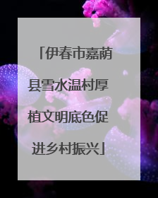 伊春市嘉荫县雪水温村厚植文明底色促进乡村振兴