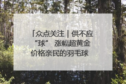 众点关注｜供不应“球” 涨幅超黄金 价格亲民的羽毛球为何身价飞涨？