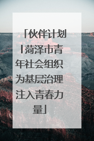 伙伴计划│菏泽市青年社会组织为基层治理注入青春力量
