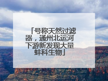号称天然过滤器，通州北运河下游新发现大量蚌科生物