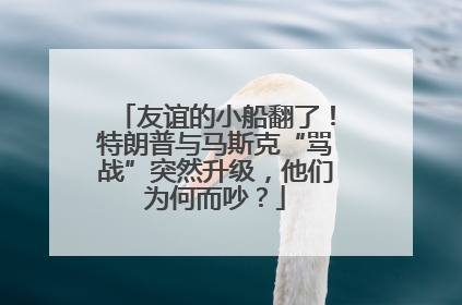 友谊的小船翻了！特朗普与马斯克“骂战”突然升级，他们为何而吵？