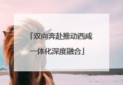 双向奔赴推动西咸一体化深度融合
