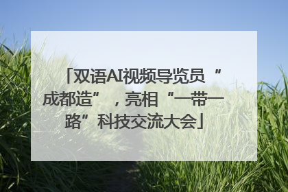 双语AI视频导览员“成都造”，亮相“一带一路”科技交流大会