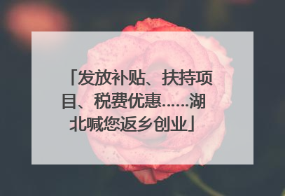 发放补贴、扶持项目、税费优惠……湖北喊您返乡创业