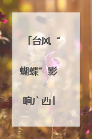 台风“蝴蝶”影响广西