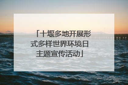 十堰多地开展形式多样世界环境日主题宣传活动