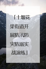 十堰花果街道开展防汛防灾防溺实战演练