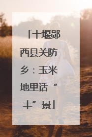 十堰郧西县关防乡：玉米地里话“丰”景