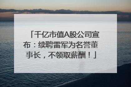 千亿市值A股公司宣布：续聘雷军为名誉董事长，不领取薪酬！