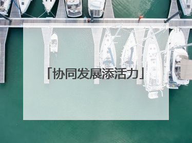 协同发展添活力