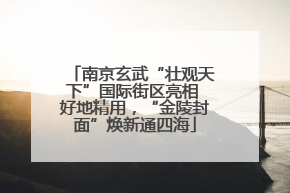南京玄武“壮观天下”国际街区亮相 好地精用，“金陵封面”焕新通四海