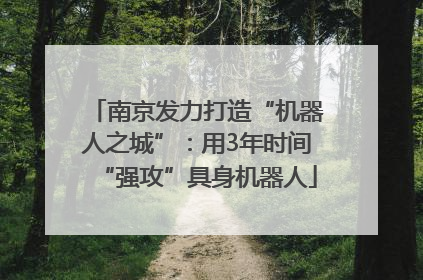南京发力打造“机器人之城”：用3年时间“强攻”具身机器人