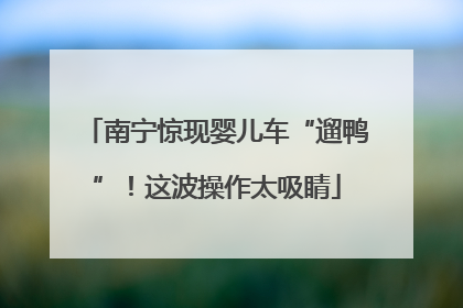 南宁惊现婴儿车“遛鸭”！这波操作太吸睛