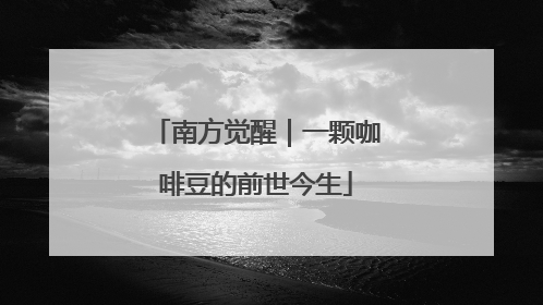 南方觉醒｜一颗咖啡豆的前世今生