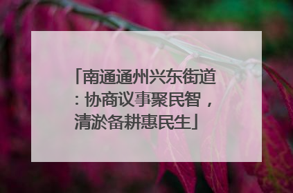 南通通州兴东街道：协商议事聚民智，清淤备耕惠民生