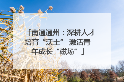 南通通州：深耕人才培育“沃土” 激活青年成长“磁场”