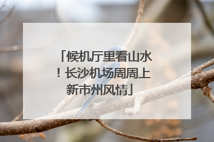 候机厅里看山水！长沙机场周周上新市州风情