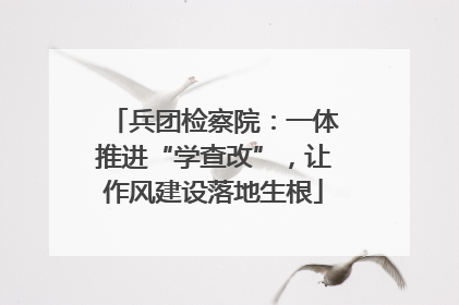 兵团检察院：一体推进“学查改”，让作风建设落地生根