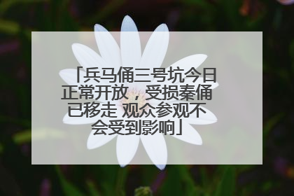 兵马俑三号坑今日正常开放，受损秦俑已移走 观众参观不会受到影响
