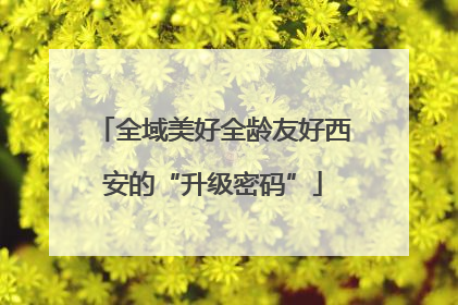 全域美好全龄友好西安的“升级密码”
