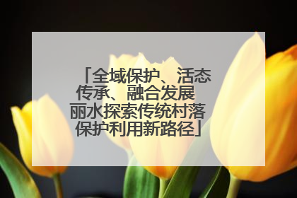 全域保护、活态传承、融合发展 丽水探索传统村落保护利用新路径