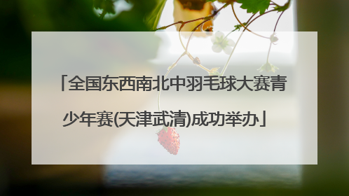 全国东西南北中羽毛球大赛青少年赛(天津武清)成功举办