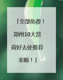 全部免费！郑州10大赏荷好去处推荐来啦！
