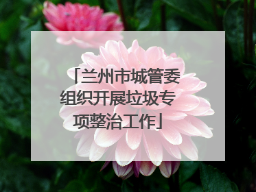 兰州市城管委组织开展垃圾专项整治工作