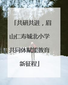 共研共进，眉山仁寿城北小学共同体赋能教育新征程