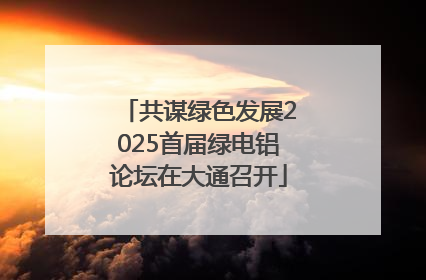共谋绿色发展2025首届绿电铝论坛在大通召开