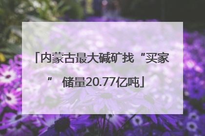 内蒙古最大碱矿找“买家” 储量20.77亿吨