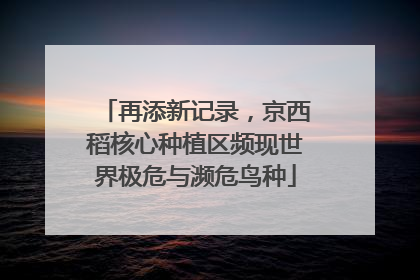 再添新记录，京西稻核心种植区频现世界极危与濒危鸟种