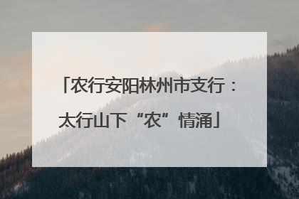 农行安阳林州市支行：太行山下“农”情涌