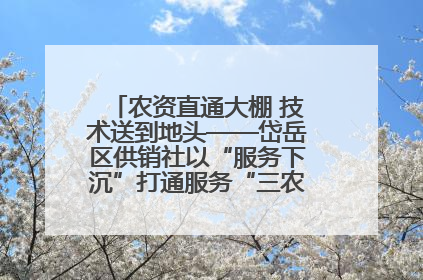 农资直通大棚 技术送到地头——岱岳区供销社以“服务下沉”打通服务“三农”最后一公里